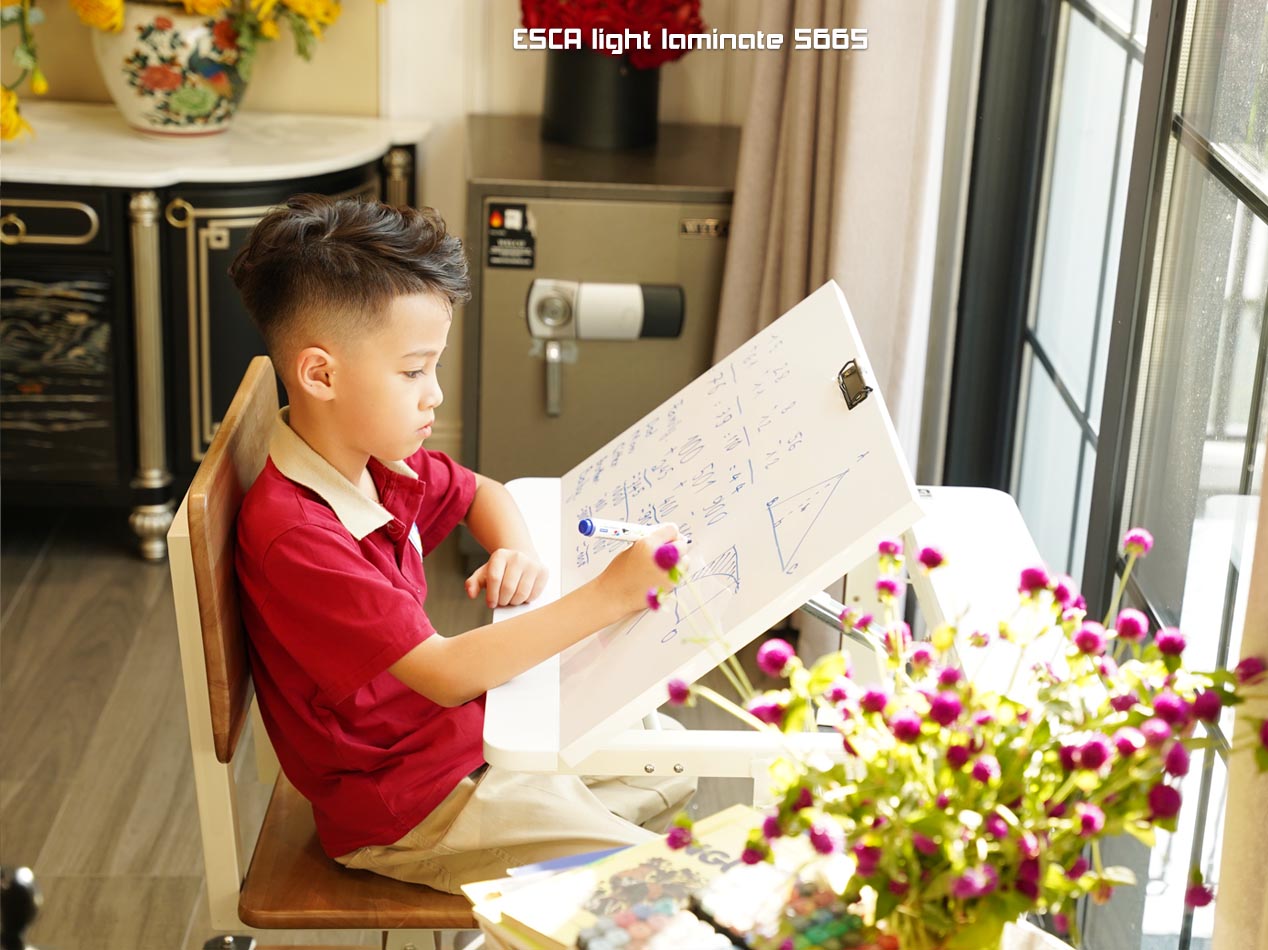 ESCA LIGHT PLUS